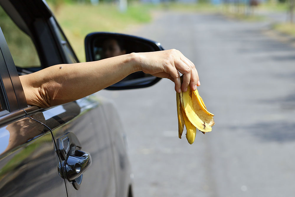 Person throwing banana skin from car window.