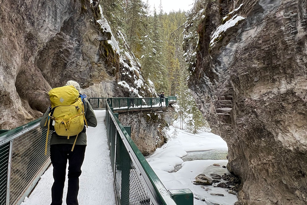 The Johnstone Canyon Ice Walk.