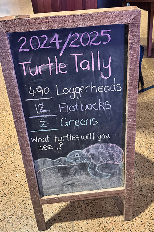 A sign keeps count of turtles at the Mon Repos Turtle Centre.