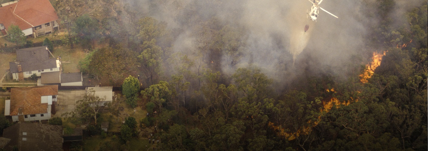 fire-1410x500