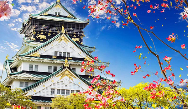 japan castle with flower trees